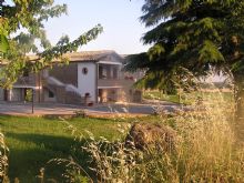 Agriturismo Viterbo: Bollettaro