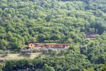 Agriturismo Brescia: Forest