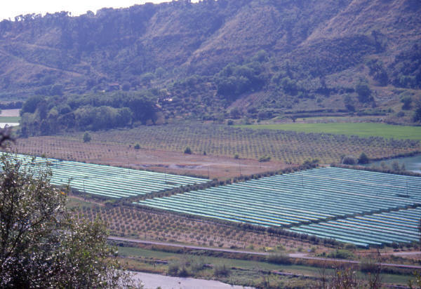 Agriturismo Cosenza: I Cedri