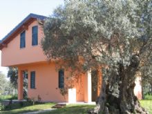 Agriturismo Cosenza: La Piana degli Ulivi