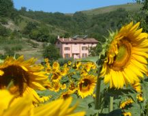 Agriturismo Bologna: Il Cavicchio