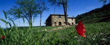Agriturismo Viterbo: Acerona