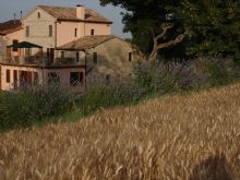 Agriturismo Ancona: Oliodivino