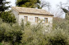 Agriturismo Macerata: Il Gelso Antico