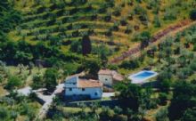 Agriturismo Firenze: Montereggi
