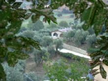 Agriturismo Grosseto: L'Oca