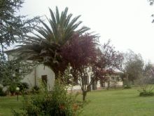 Agriturismo Grosseto: Podere 13