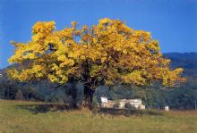 Agriturismo Prato: La Casaccia