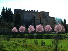 Agriturismo Siena: Castel Pietraio