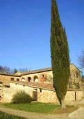 Agriturismo Siena: Tenuta di Mensanello